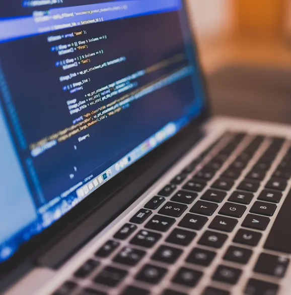 Web development